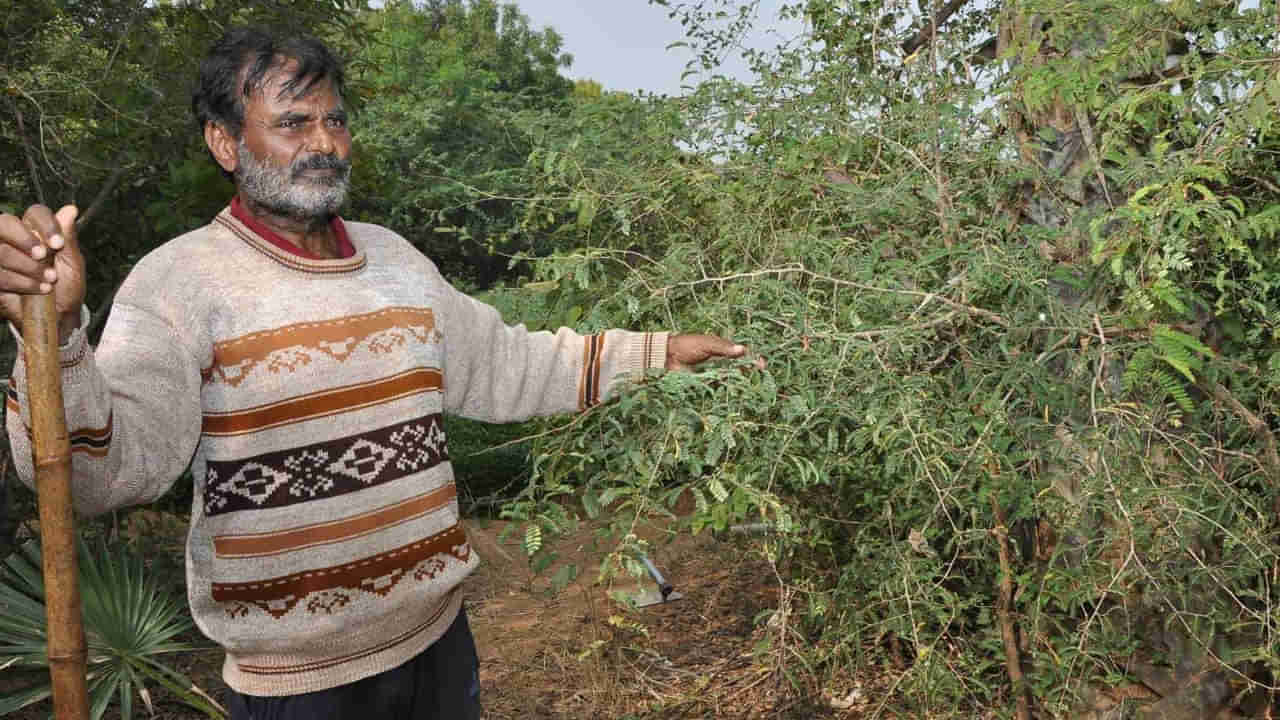 Telangana: 70 ఎకరాల్లో అడవిని సృష్టించిన వన ప్రేమికుడికి అవార్డు.. సాధారణంగా కన్పించే అసాధ్యుడు!