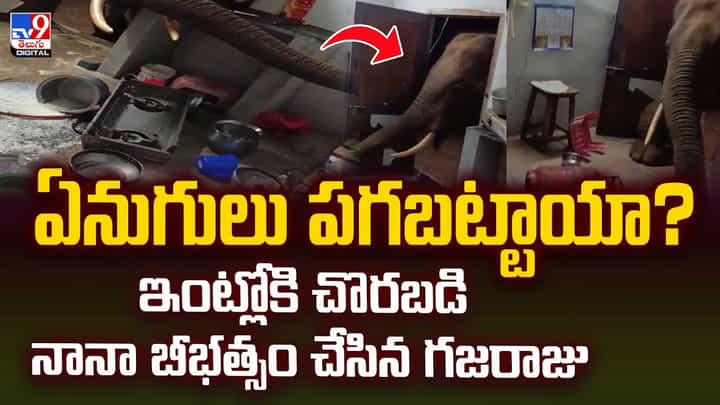 ఏనుగులు పగబట్టాయా ?? ఇంట్లోకి చొరబడి నానా బీభత్సం చేసిన గజరాజు ఏనుగులు పగబట్టాయా ?? ఇంట్లోకి చొరబడి నానా బీభత్సం చేసిన గజరాజు