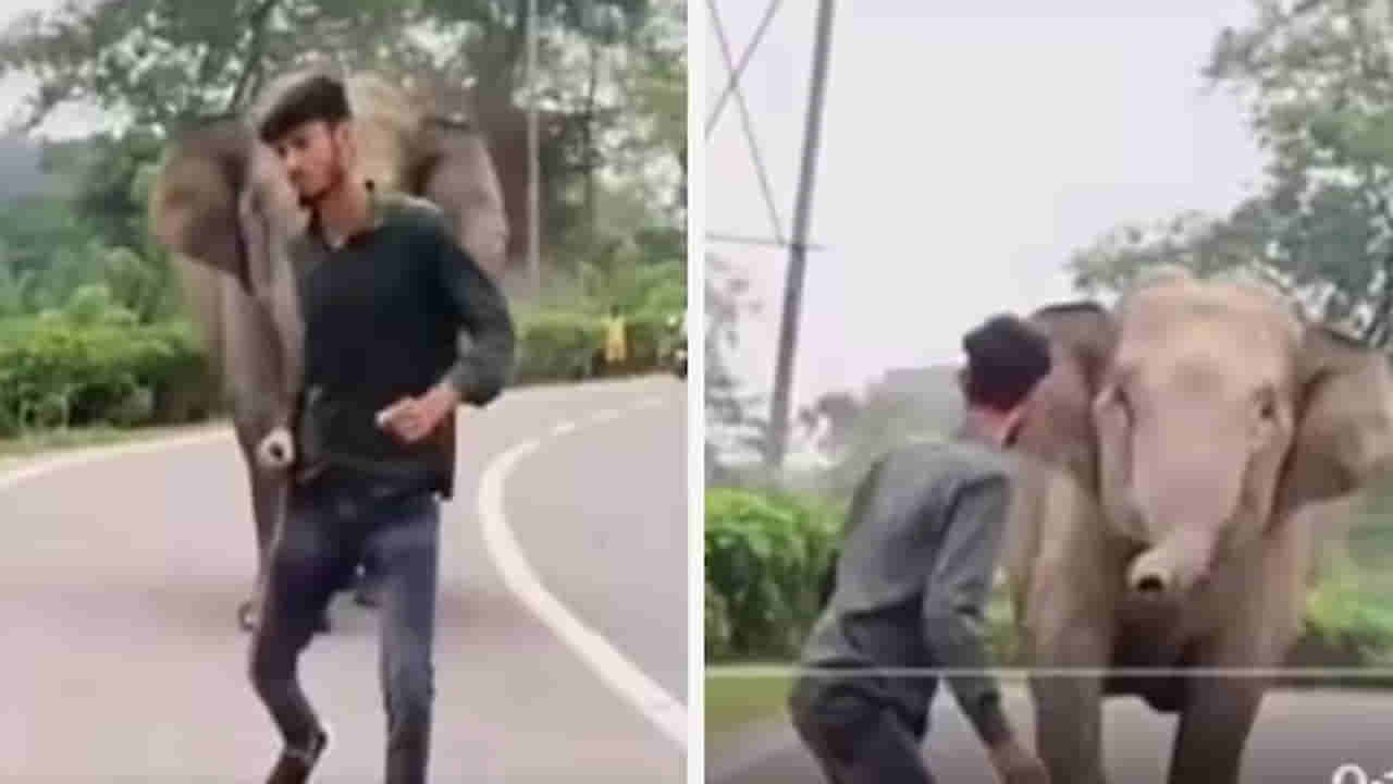 గజరాజుతోనే గేమ్సా..! ఆ తర్వాత ఏమైందంటే.. ఐఎఫ్ఎస్ అధికారి షేర్‌ చేసిన షాకింగ్‌ వీడియో వైరల్‌..