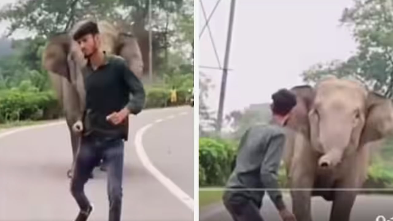 గజరాజుతోనే గేమ్సా..! ఆ తర్వాత ఏమైందంటే.. ఐఎఫ్ఎస్ అధికారి షేర్‌ చేసిన షాకింగ్‌ వీడియో వైరల్‌..