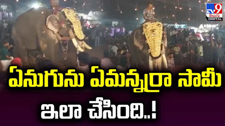 ఏనుగును ఏమన్నర్రా సామీ ఇలా చేసింది..! ఏనుగును ఏమన్నర్రా సామీ ఇలా చేసింది..!
