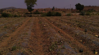 Polavaram Project: పోలవరంలో మంత్రి నిమ్మల రామానాయుడు పర్యటన.. కీలక కామెంట్స్