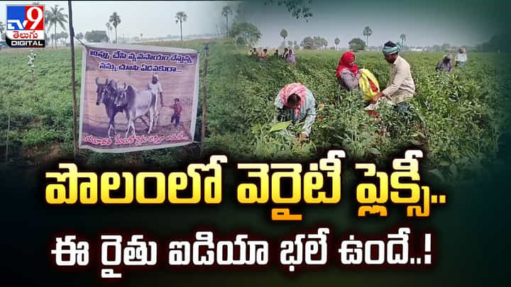 ఈ రైతు ఐడియా భలే ఉందే..అసలు ఏం చేశాడంటే? ఈ రైతు ఐడియా భలే ఉందే..అసలు ఏం చేశాడంటే?