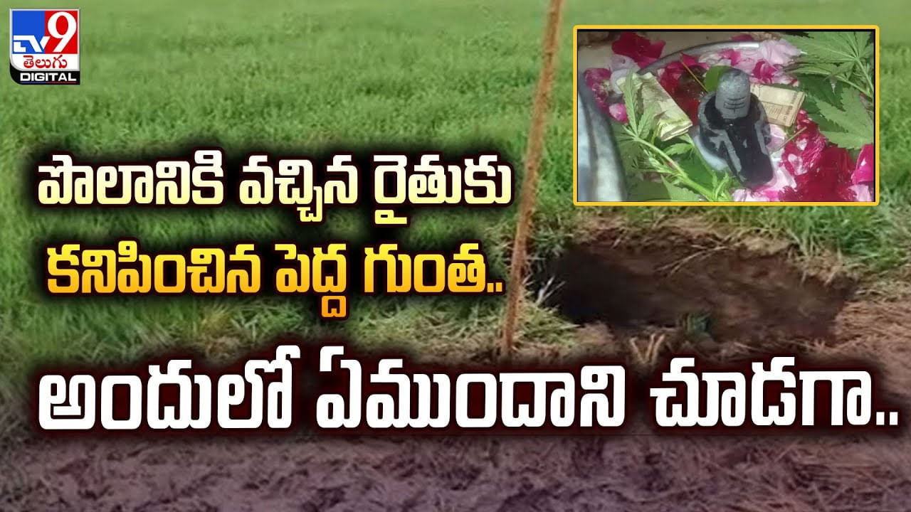 పొలానికి వెళ్లి బిత్తరపోయిన రైతు.. ఎదురుగా కనిపించింది చూడగా