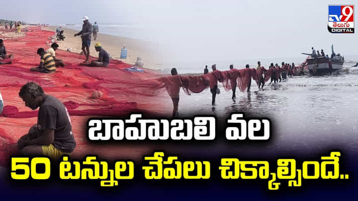 బాహుబలి వల.. 50 టన్నుల చేపలు చిక్కాల్సిందే.. బాహుబలి వల.. 50 టన్నుల చేపలు చిక్కాల్సిందే..