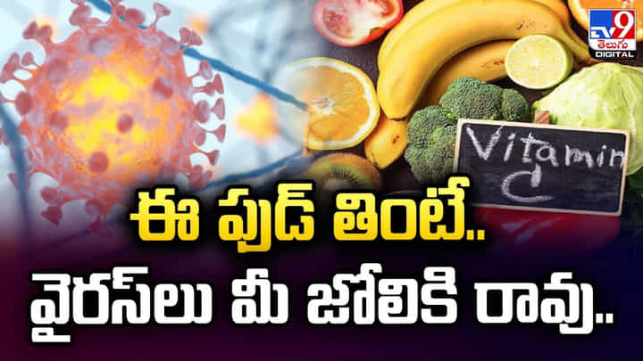 ఈ ఫుడ్ తింటే.. వైరస్లు మీ జోలికి రావు.. ఈ ఫుడ్ తింటే.. వైరస్లు మీ జోలికి రావు..