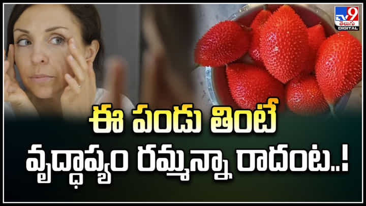 Health: ఈ పండు తింటే వృద్ధాప్యం రమ్మన్నా రాదంట.! ట్యాబ్లెట్ల తయారీలో ఆ ఫ్రూట్.. Health: ఈ పండు తింటే వృద్ధాప్యం రమ్మన్నా రాదంట.! ట్యాబ్లెట్ల తయారీలో ఆ ఫ్రూట్..