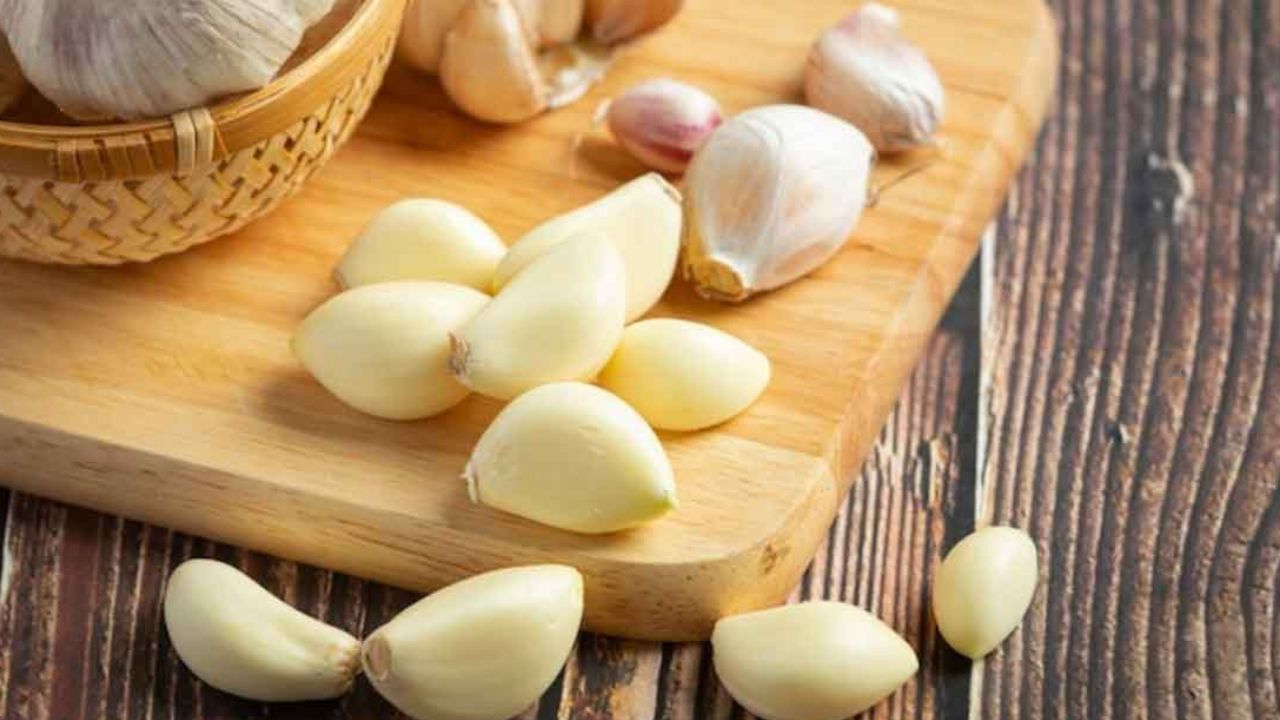 Garlic