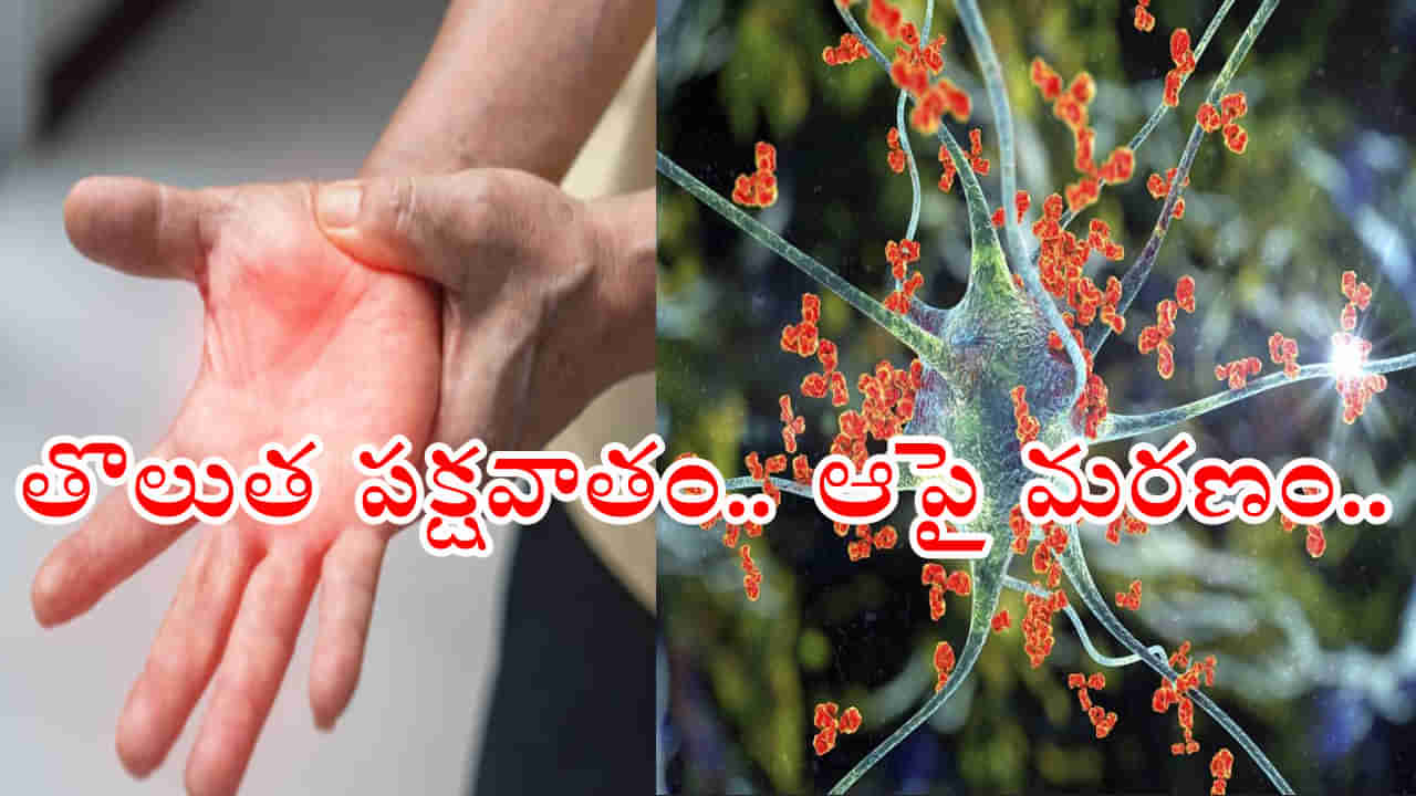 బాబోయ్‌.. తరుముకొస్తున్న మరో ప్రాణాంతక వ్యాధి.. పూణెలో ఒకరు మృతి! వైద్యశాఖ హెచ్చరిక