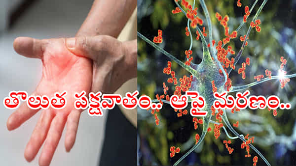 బాబోయ్.. తరుముకొస్తున్న మరో ప్రాణాంతక వ్యాధి.. పూణెలో ఒకరు మృతి! వైద్యశాఖ హెచ్చరిక