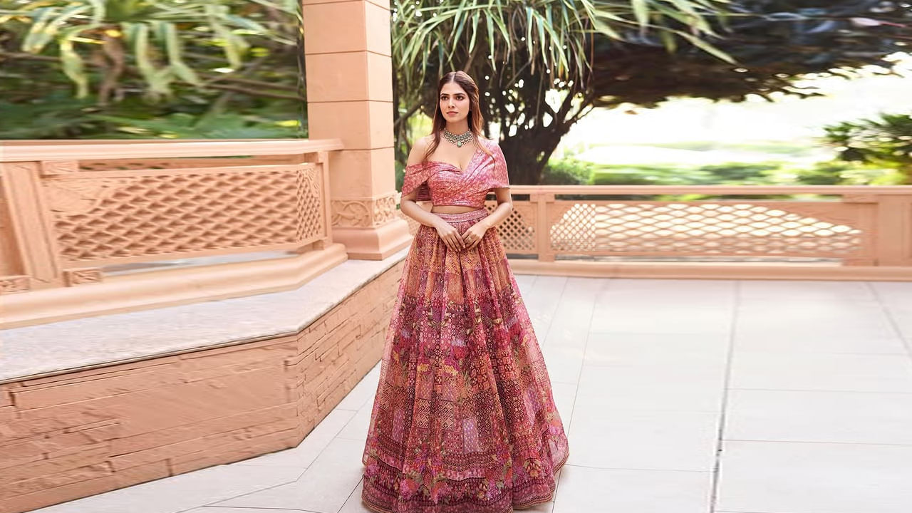 మాళవికకు నటనపై ఉన్న ఆసక్తి గురించి నటుడు ఆరా తీసి మలయాళ చిత్రంలో తన కుమారుడు దుల్కర్ సల్మాన్ సరసన నటించే అవకాశం కల్పించారు. తన నిర్ణయం కోసం కొంత సమయం తీసుకుని గ్రీన్ సిగ్నల్ ఇచ్చింది. ఆలా పట్టం పోల్‌ అనే మలయాళీ చిత్రంతో కథానాయకిగా తొలిసారి నటించింది.