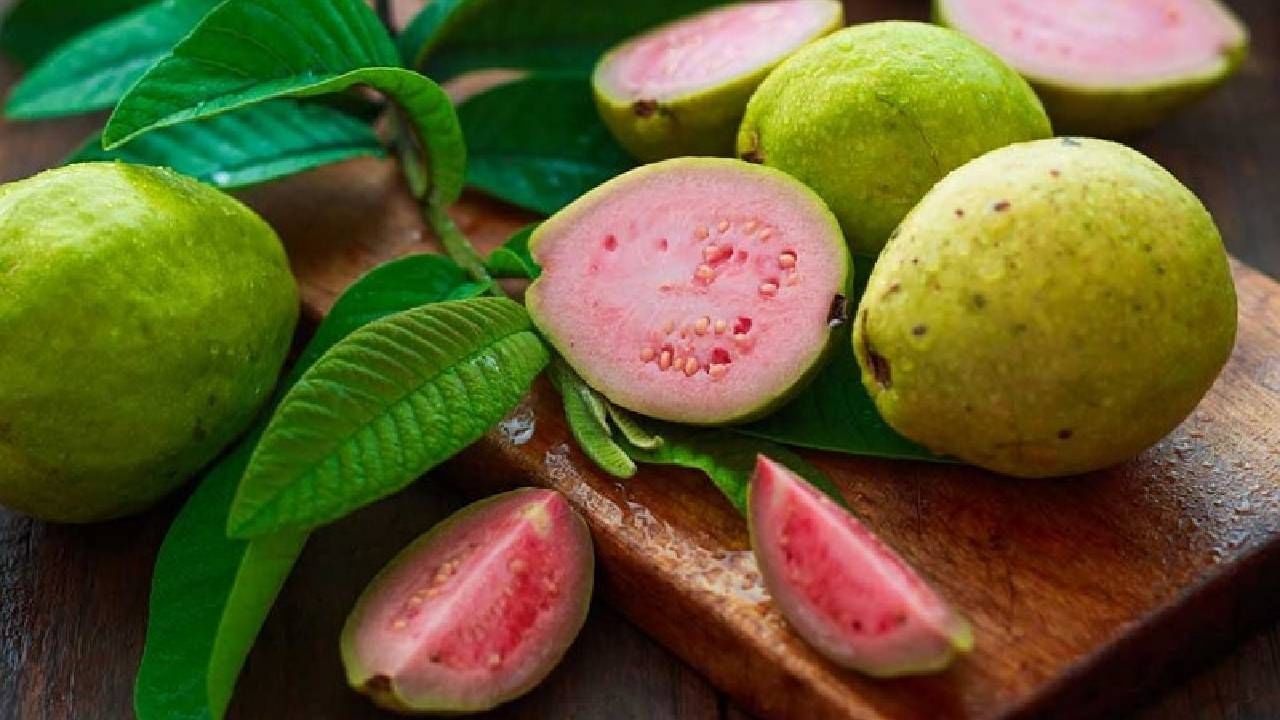 Guava Leaves: జామ చిగురు తింటే ఎలాంటి వ్యాధులు రానే రావు..