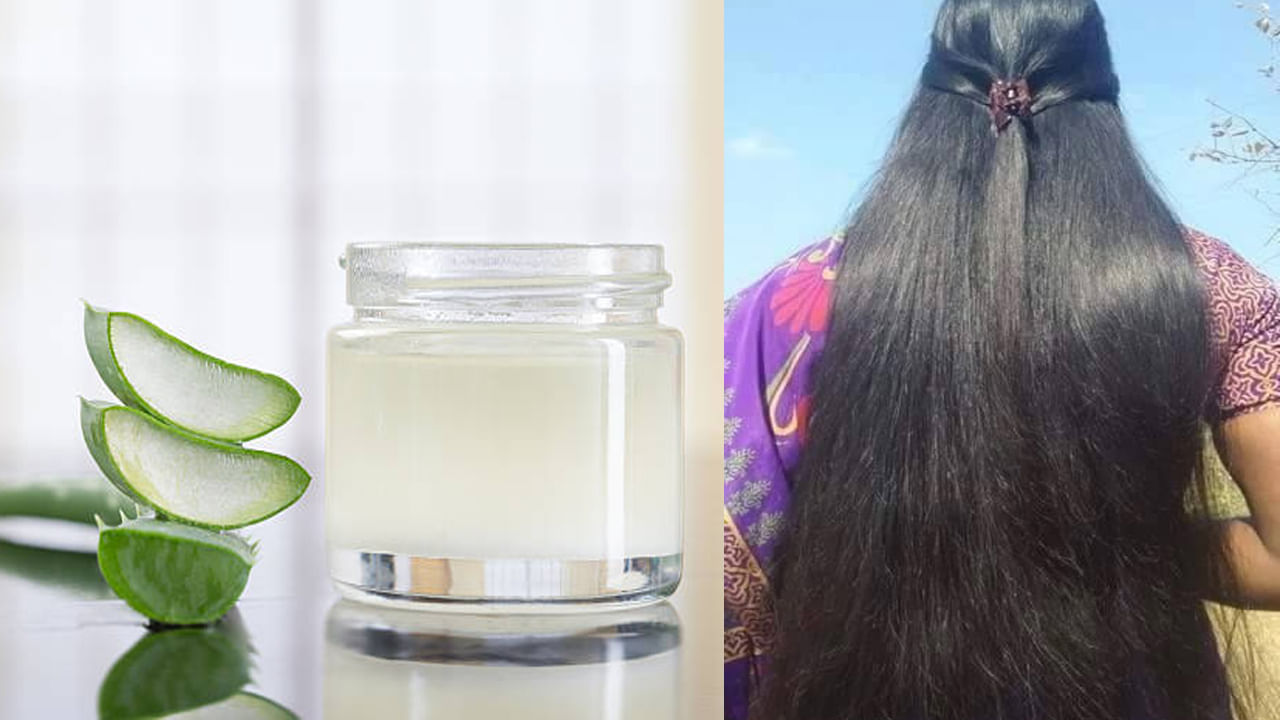 Hair Care Tips: జుట్టు ఊడిపోతుందా.. ఒత్తుగా అందంగా పెరగాలంటే కలబంద మాస్క్ ట్రై చేయండి..