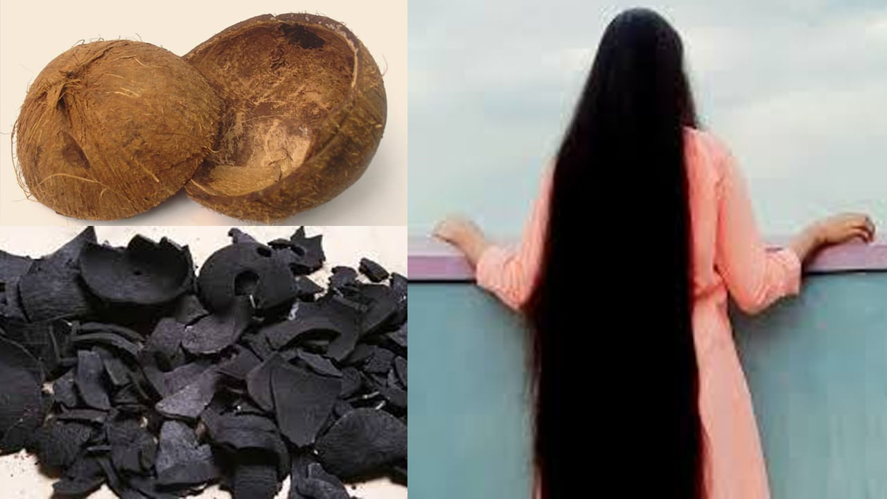 Hair Care Tips: ఎందుకు పనికి రాదని కొబ్బరి చిప్పని విసిరేస్తున్నారా.. ఇలా ఉపయోగిస్తే ఒత్తైన, పొడవైన జుట్టు మీ సొంతం