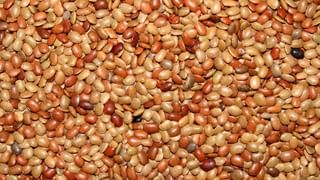 Be Alert: పక్షవాతం వచ్చే ముందు కనిపించే లక్షణాలేంటో తెలుసా..?