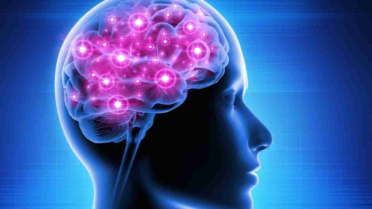 Brain Health: ఈ ఫుడ్స్ తింటే.. మీ బ్రెయిన్ సూపర్ కంప్యూటర్ లా వర్క్ చేయడం పక్కా.!