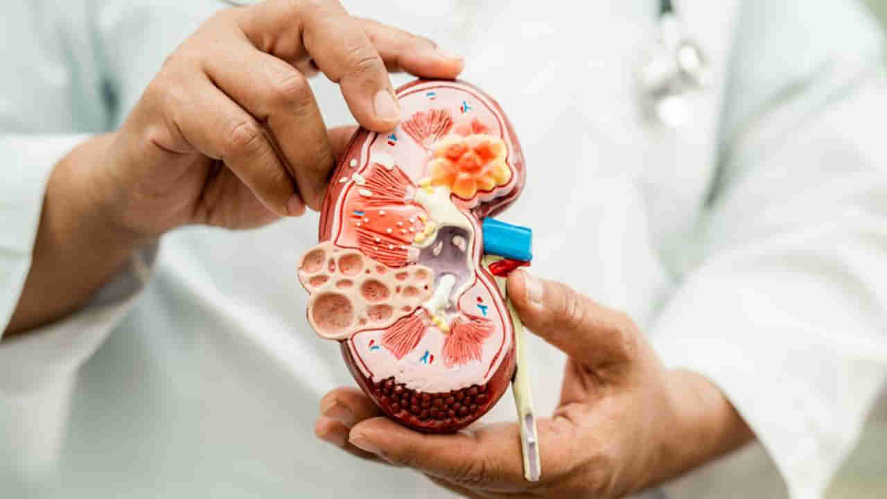 ఇలాంటి ఆహారాలు మీ కిడ్నీలను దెబ్బతీస్తాయి.. వెంటనే వాటికి గుడ్ బై చెప్పండి