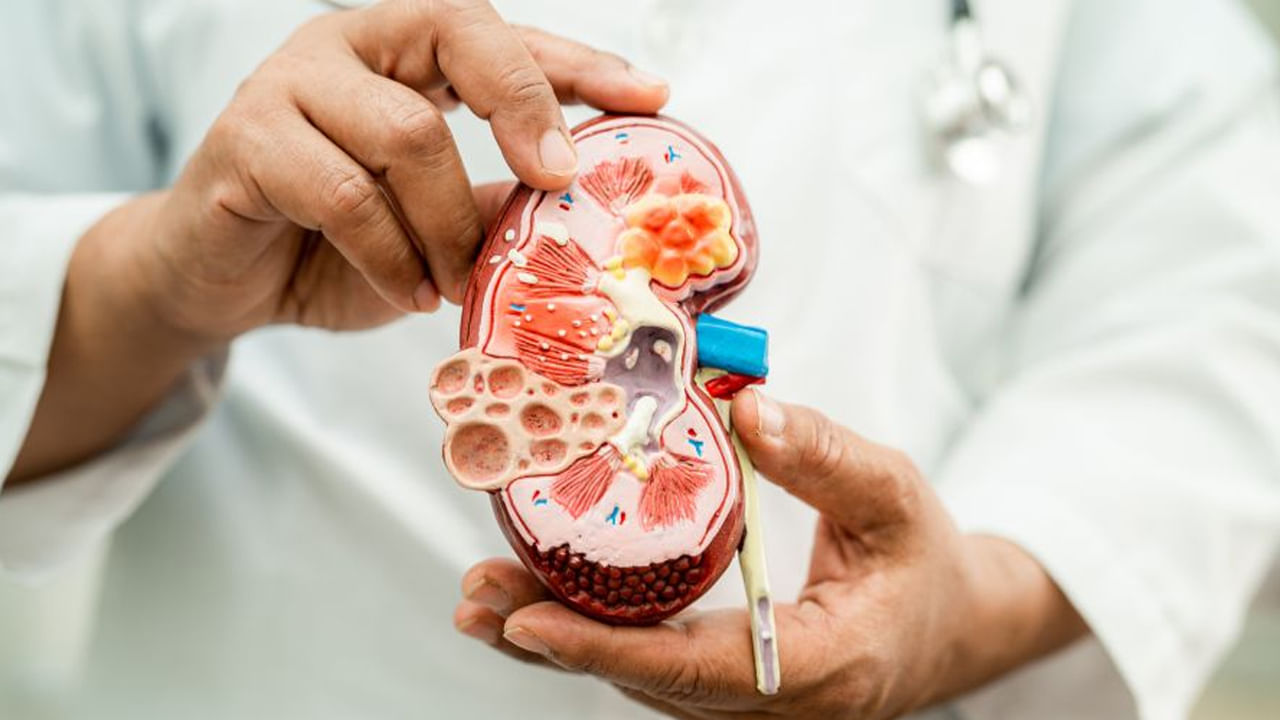 World Kidney Day: ఈ 6 లక్షణాలు మీలో కనిపిస్తే కిడ్నీలు షెడ్డుకెళ్లినట్లే.. అస్సలు నిర్లక్ష్యం చేయొద్దు..