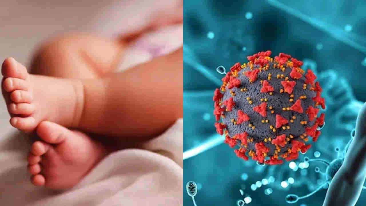 HMPV Virus: భారత్‌లో తొలి HMPV కేసు..? బెంగళూరులో గుర్తింపు