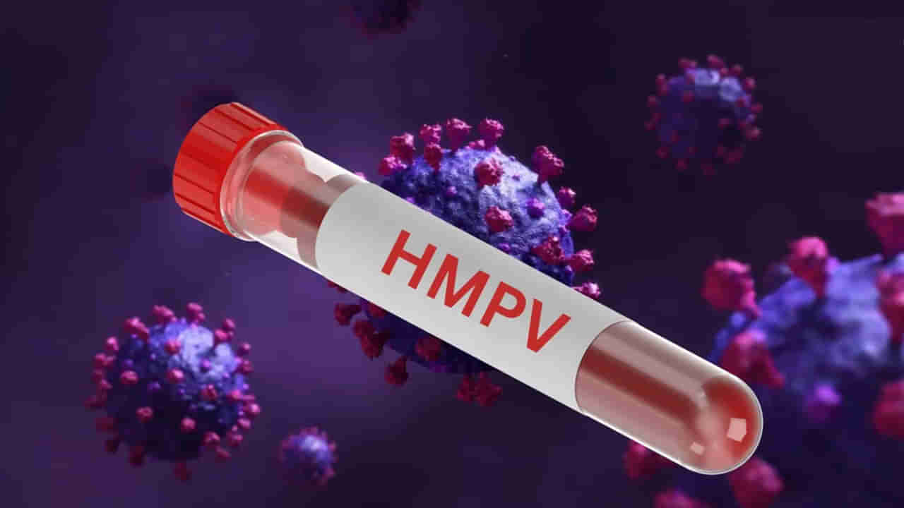 HMPV Virus Cases: గత ఏడాదే మా ఆస్పత్రిలో 17 కేసులు నమోదయ్యాయి.. డాక్టర్ షాకింగ్ కామెంట్స్