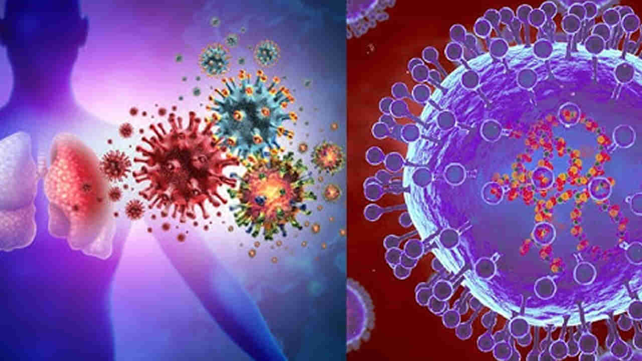 HMPV virus: యాడ దొరికిన సంతరా సామి.. ఈ కొత్త వైరస్ ఊరిపితిత్తులపై దాడి చేస్తుందా..?