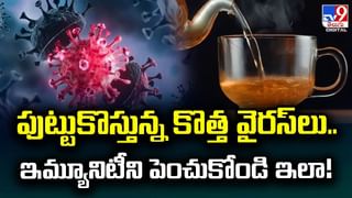 Chiluka Thotakura: ఇదేదో పిచ్చి మొక్క అనుకునేరు.. పవర్‌ఫుల్.. ప్రయోజనాలు తెలిస్తే అస్సలు వదిలిపెట్టరు..