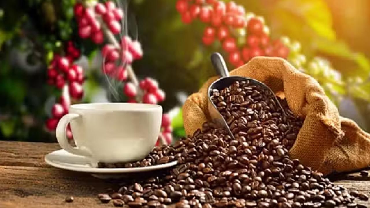 Indian Cofee: ప్రపంచ వ్యాప్తంగా భారతీయ కాఫీకి పెరుగుున్న ఆదరణ.. ఫస్ట్ టైమ్ దాటేసిన బెంచ్ మార్క్!