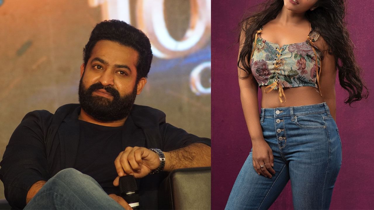 Jr.NTR: ఎన్టీఆర్‏తో నటించాలనేది తన డ్రీమ్ అంటోన్న హీరోయిన్.. ఎవరంటే...