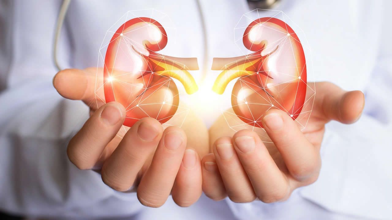 Kidney Health: ఉదయం లేవగానే ఈ లక్షణం కనిపిస్తే.. కిడ్నీలు ఫెయిల్ అయినట్టే..