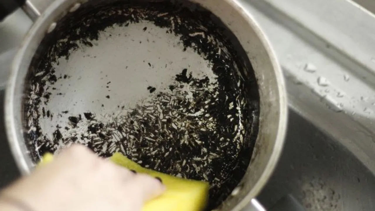 స్టీల్, ఉన్ని వంటివి కాకుండా మృదువైన సిలికాన్ స్క్రబ్బర్‌లను పాత్రలను శుభ్రం చేయడానికి ఎంచుకోవాలి. కఠినమైన స్క్రబ్బర్‌లు పాత్రలఉపరితలంపై గీతలు పడేలా చేస్తాయి. కంటైనర్ పైన ఉన్న రక్షిత పొరలను దెబ్బతీస్తాయి.