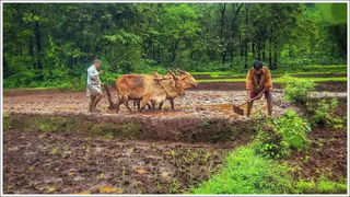 Bank Loan: క్రెడిట్ స్కోర్‌ 500 ఉంటే పర్సనల్ లోన్ పొందవచ్చా? ఈ విధంగా పెంచుకోండి!