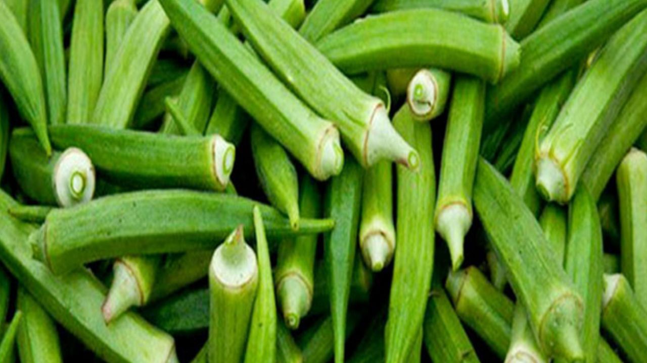 బెండకాయల్లో ఖనిజాలు, విటమిన్స్ ఎక్కువగా ఉంటాయి. బెండకాయలు తీసుకోవడం వలన రొమ్ము క్యాన్సర్ వచ్చే ప్రమాదం తగ్గుతుంది. అలాగే ఇందులో ఉండే ఫోలేట్ కూడా హెల్త్ కి చాలా మంచిది. బెండకాయలో ఫైబర్ ఎక్కువగా ఉంటుంది. విటమిన్స్, మినరల్స్ కూడా ఇందులో ఉంటాయి. చెడు కొలెస్ట్రాల్ తగ్గించడానికి బెండకాయ హెల్ప్ చేస్తుంది. బెండకాయలలో యాంటీ ఆక్సిడెంట్లు సమృద్ధిగా ఉంటాయి.