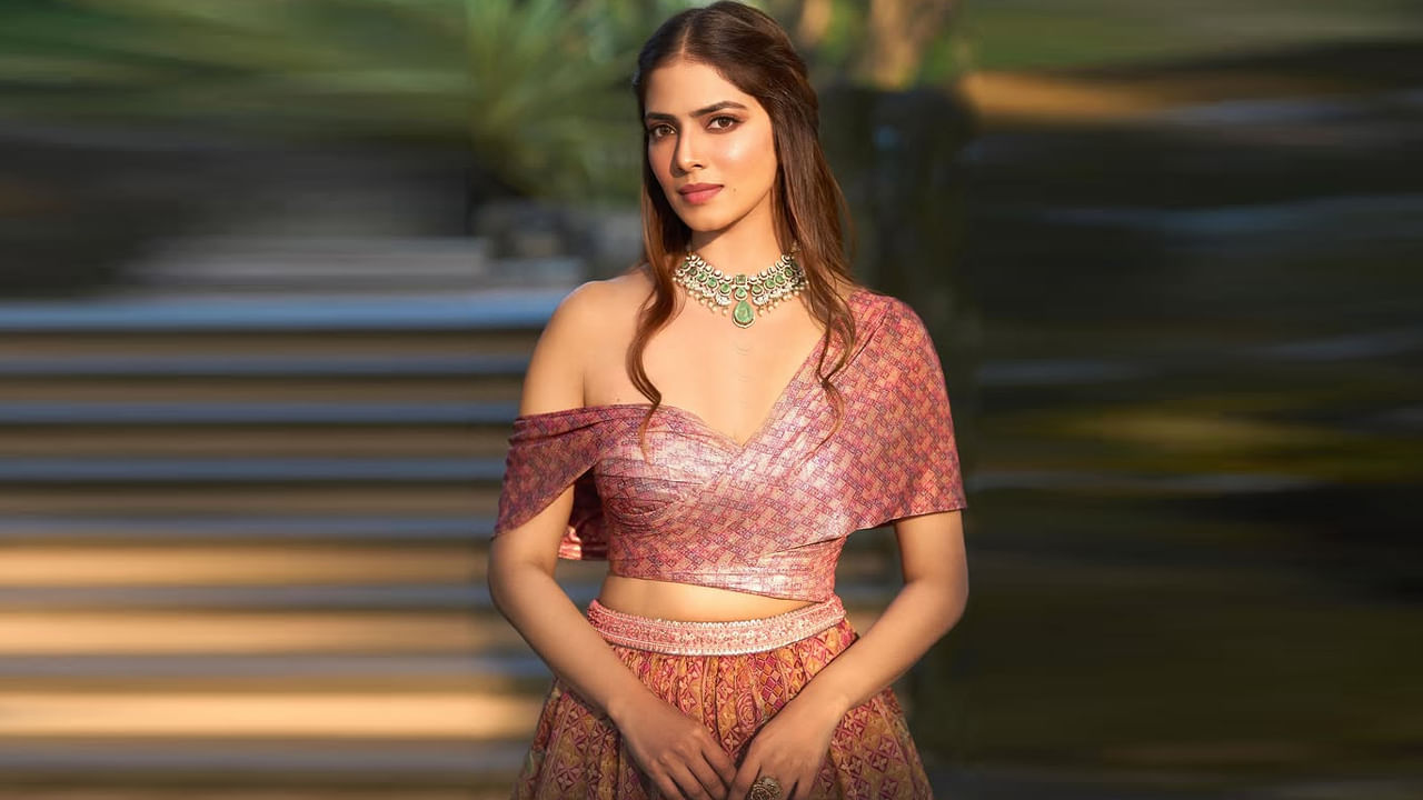 4 ఆగస్టు 1993న కేరళ రాష్ట్రంలోని కన్నూర్ జిల్లాలోని పయ్యనూర్ లో జన్మించింది వయ్యారి భామ మాళవిక మోహనాన్. ప్రముఖ సినిమాటోగ్రాఫర్ కె.యు.మోహనన్ కూతురు ఈ బ్యూటీ. మహారాష్ట్ర రాజధాని ముంబైలో పెరిగింది ఈ ముద్దుగుమ్మ.