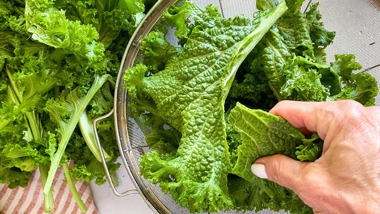 ఆవ కూరలో శరీరానికి అవసరమైన అనేక పోషకాలు ఉన్నాయి. పైగా ఈ ఆకుల్లో కేలరీలు ఉండవు. ఇందులో ఖనిజాలు, విటమిన్లు A, C, K పుష్కలంగా ఉంటాయి. ఆవాల ఆకుల్లో విటమిన్ K పుష్కలంగా ఉండి ఎముకలను బలపరుస్తుంది. గుండెను కూడా ఆరోగ్యంగా ఉంచుతుంది. అంతేకాదు, రక్తం గడ్డకట్టడంలో విటమిన్ K కూడా ముఖ్యమైన పాత్ర పోషిస్తుంది. 