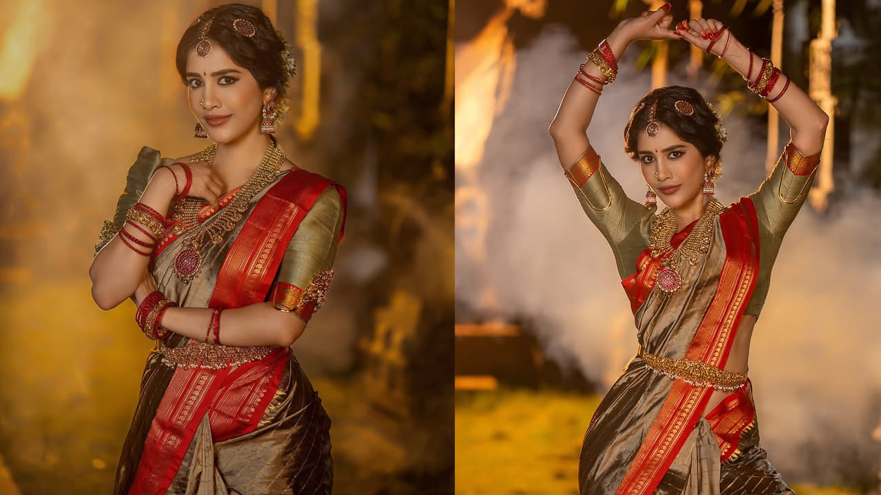 పట్టుచీరలో.. ఒంటినిండా నగలతో అచ్చం నాట్యమయూరిలా మెరిసిపోతుంది నభా. ఈ అమ్మాడి అందానికి నెమలి సైతం ఫిదా అవ్వాల్సిందే అన్నట్లుగా కనిపిస్తుంది. ప్రస్తుతం నభాకు సంబంధించిన ఈ అందమైన ఫోటోస్ చూసి ఆశ్చర్యపోతున్నారు నెటిజన్స్. 