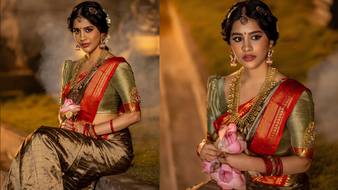 మొదటి సినిమాతోనే బ్లాక్ బస్టర్ హిట్ అందుకున్న ఈ వయ్యారి.. ఆ తర్వాత ఇస్మార్ట్ శంకర్ సినిమాతో తెలుగులో మరో హిట్ అందుకుంది. కానీ ఆ తర్వాత వరుస సినిమాలతో బిజీగా ఉండాల్సిన నభా..ఉన్నట్లుండి సినిమాలకు దూరమయ్యింది. 