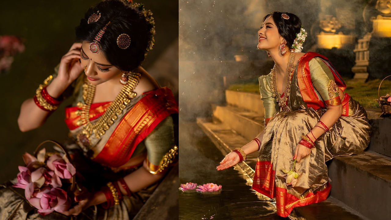 తనకు యాక్సిడెంట్ కావడం వల్ల సినిమాలకు దూరంగా ఉండాల్సి వచ్చిందని ఇటీవల ఓ ఇంటర్వ్యూలో చెప్పుకొచ్చింది. కొన్నాళ్లు విశ్రాంతి తీసుకున్న నభా.. ఇప్పుడిప్పుడే సినీరంగంలో మళ్లీ వరుస ఆఫర్స్ అందుకుంటుంది. 