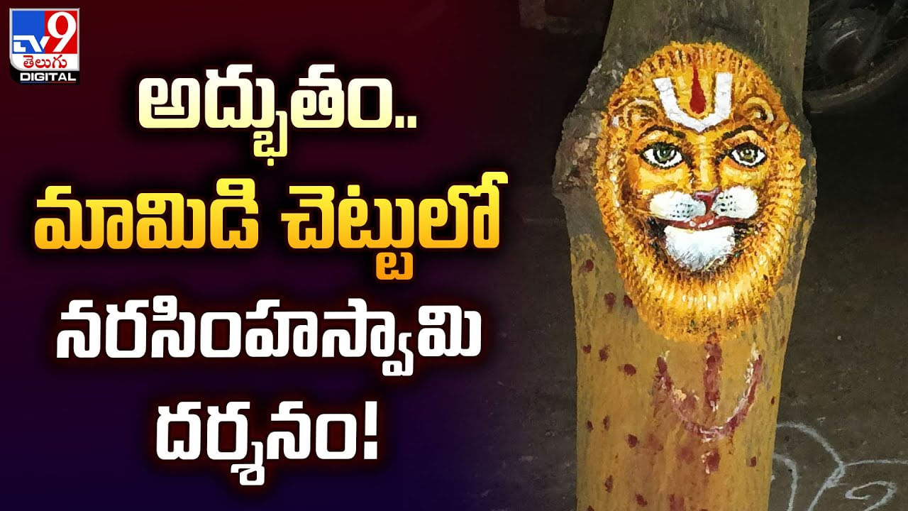 అద్భుతం.. మామిడి చెట్టులో నరసింహస్వామి దర్శనం !!