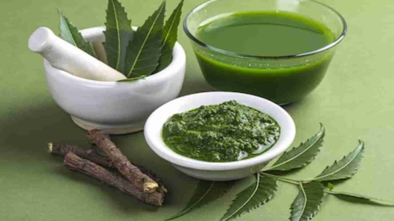 Hair Care: వేప నూనెతో మీ జుట్టు సమస్యలకు చెక్ పెట్టండిలా..!