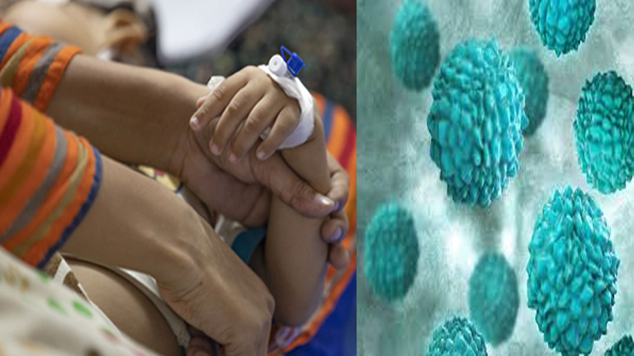 Norovirus: అమెరికాలో విజృంభిస్తున్న నోరోవైరస్ .. లక్షణాలు ఏమిటి? ఎందుకు వ్యాపిస్తోందంటే