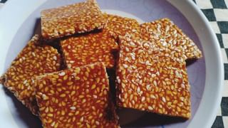 Karappusa: గోధుమ పిండితో కారప్పూస.. పిల్లల కోసం హెల్దీ స్నాక్..