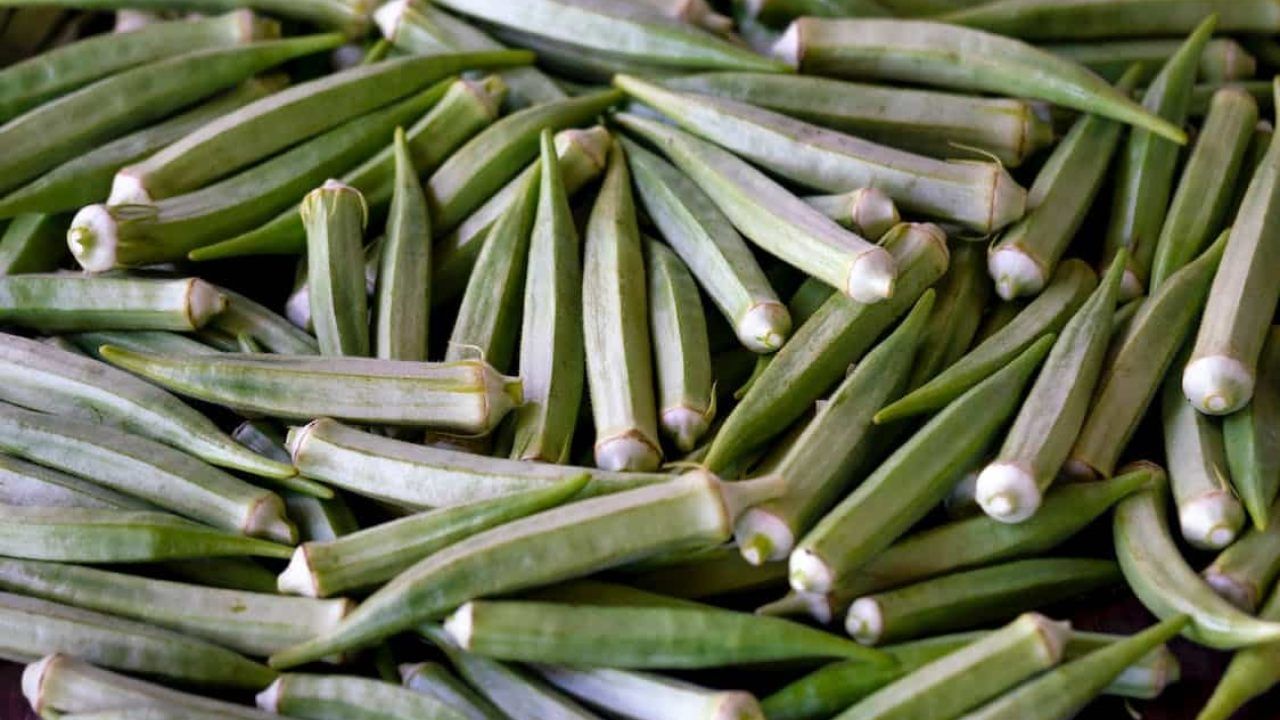 Okra 4