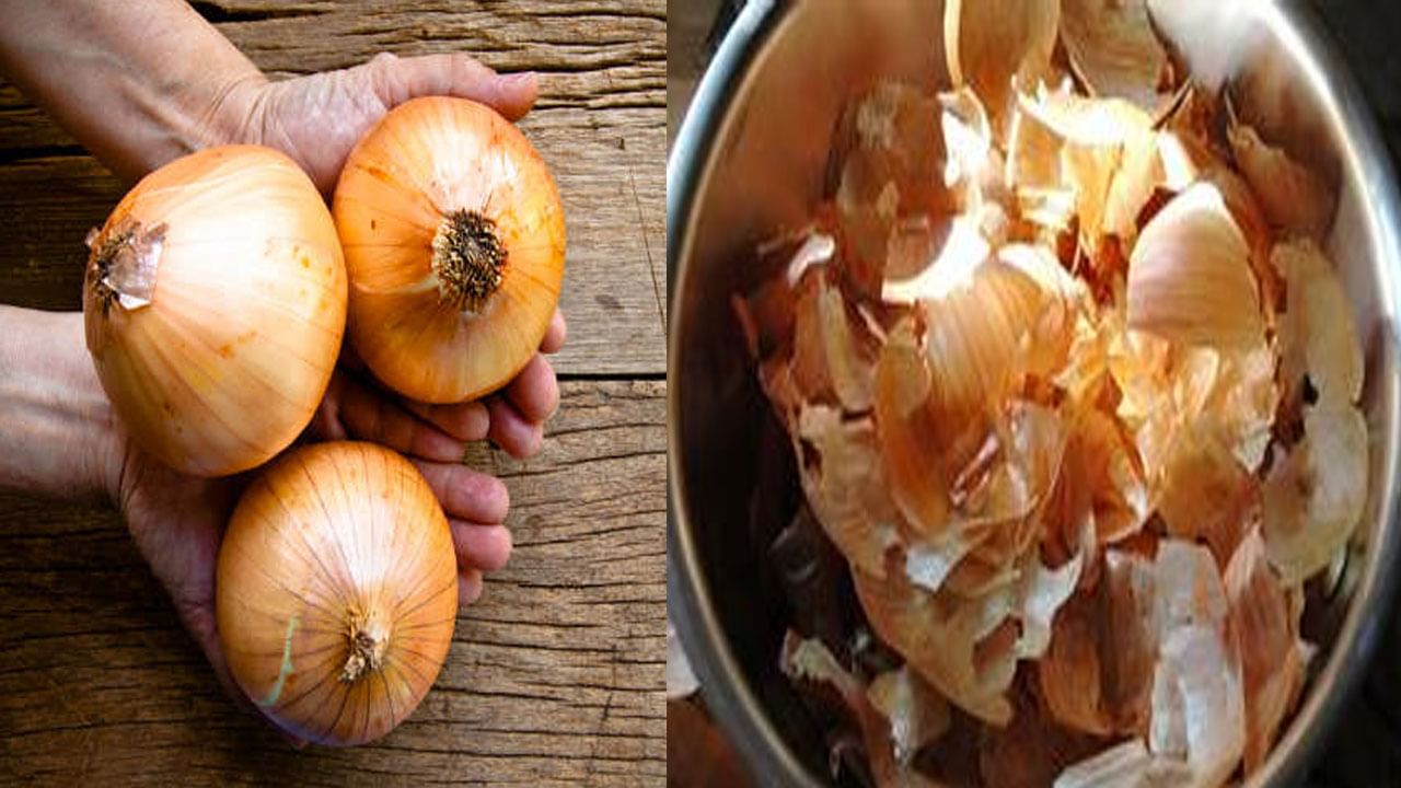 Onion Garlic Peels: ఉల్లి, వెల్లుల్లి తొక్కలతో ఎన్ని ఉపయోగాలో.. డోంట్ మిస్!