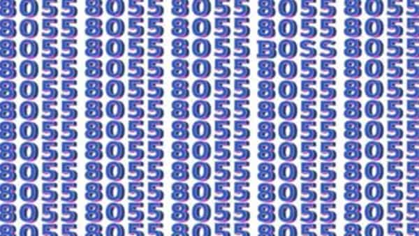 Optical Illusion: BOSS కోసం వేట..! ఎక్కడ ఉన్నారో కనుక్కోండి చూద్దాం..!