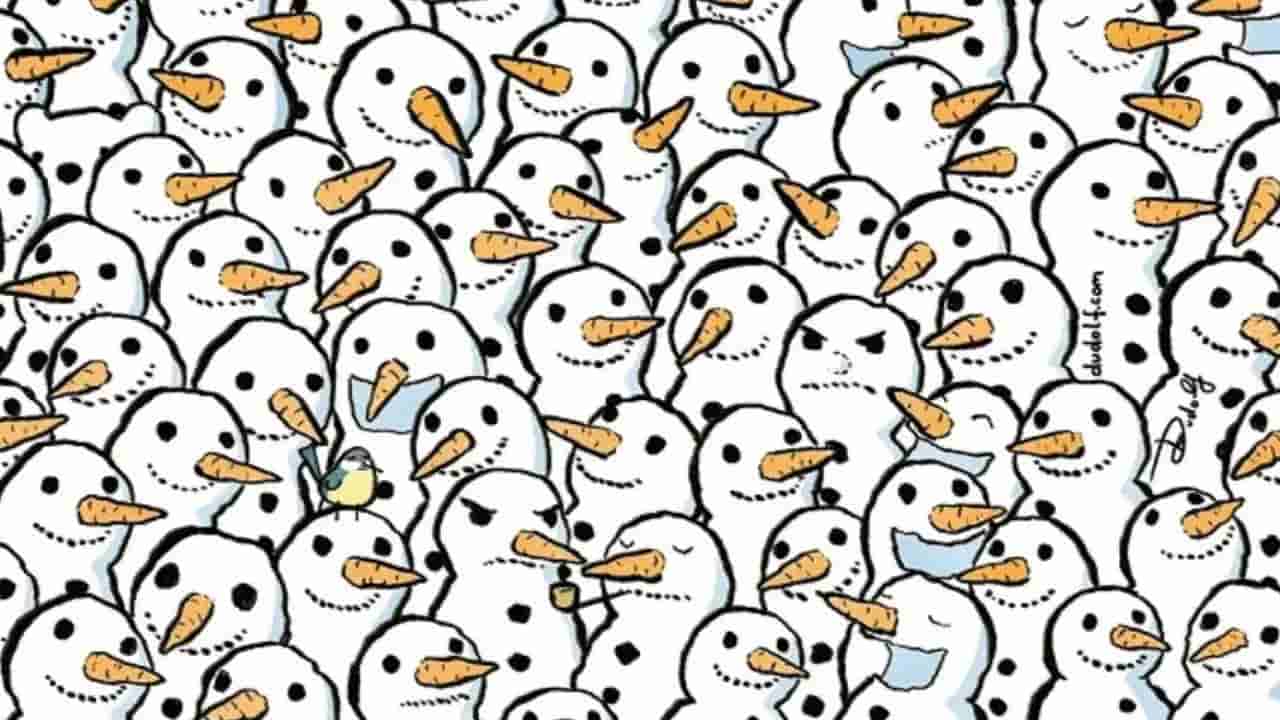 Optical Illusion: స్నోమెన్ల మధ్య దాగివున్న పొలార్ బేర్ని 8 సెకన్లలో కనుక్కోండి చూద్దాం..!