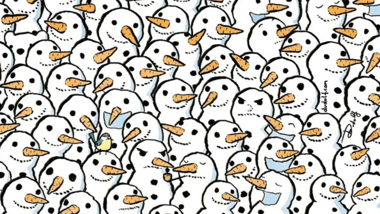 Optical Illusion: స్నోమెన్ల మధ్య దాగివున్న పొలార్ బేర్ని 8 సెకన్లలో కనుక్కోండి చూద్దాం..!