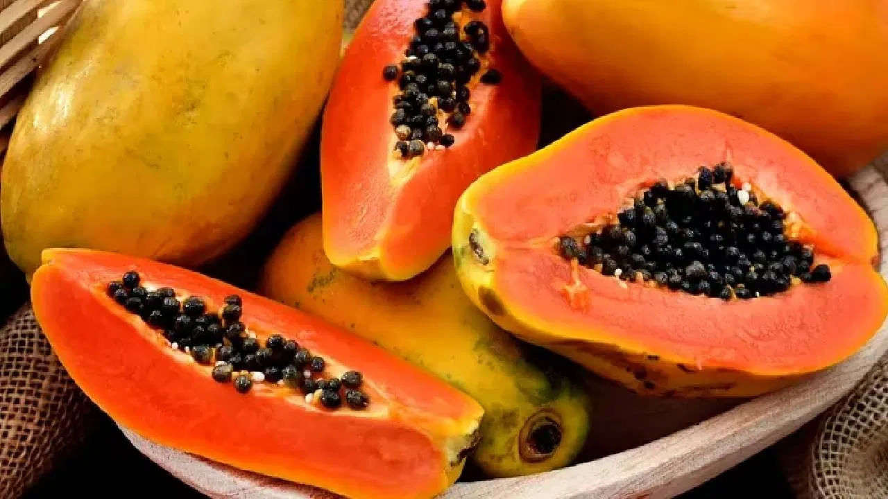 బొప్పాయిలో ఫైబర్ పుష్కలంగా ఉంటుంది. ఇది బరువు తగ్గడానికి సహాయపడుతుంది. బొప్పాయిలోని యాంటీఆక్సిడెంట్లు గుండె ఆరోగ్యాన్ని మెరుగుపరుస్తాయి. ఇందులో పపైన్ అనే ఎంజైమ్ ఉంటుంది. ఇది ఆహారాన్ని జీర్ణం చేయడానికి సహాయపడుతుంది. మలబద్ధకం, గ్యాస్, అజీర్ణం వంటి సమస్యలను కూడా తగ్గిస్తుంది.