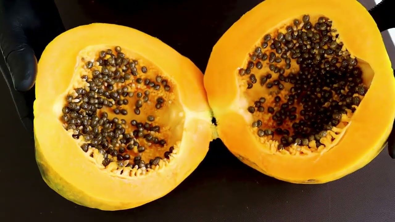 Papaya Seeds: వృద్ధాప్యాన్ని దూరం చేసే బొప్పాయి సీడ్స్.. ఇంకా ఎన్నో బెనిఫిట్స్!