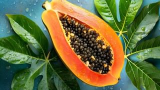 Guava vs Amla: జామ.. ఉసిరి.. వీటిల్లో ఏది ఆరోగ్యానికి ఎక్కువ మేలు చేస్తుందో తెలుసా?