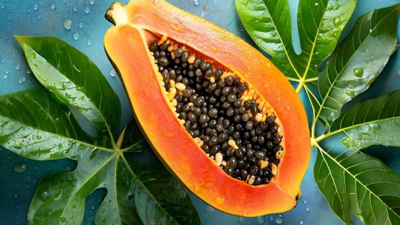 చర్మంపై ముడతలు, మచ్చలు, సన్నని గీతలు లేకుండా చేస్తుంది. చర్మంపై ఉండే పిగ్మెంటేషన్ సమస్యను కూడా కంట్రోల్ చేస్తుంది. బొప్పాయి గింజలు కేవలం చర్మ అందానికే కాకుండా ఇతర సమస్యలను కూడా తగ్గిస్తుంది.
